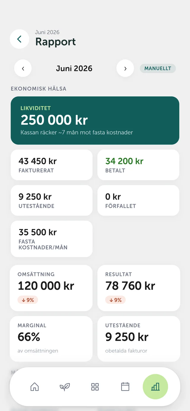 Ekonomi i dashioo